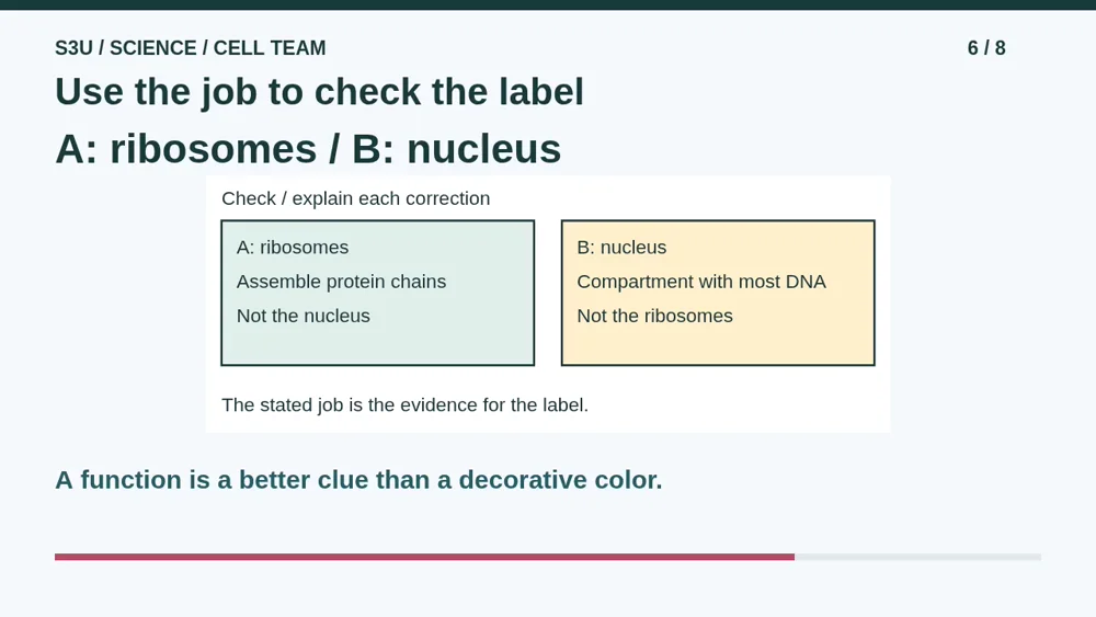 Video illustration: Use the job to check the label. The spoken explanation follows.