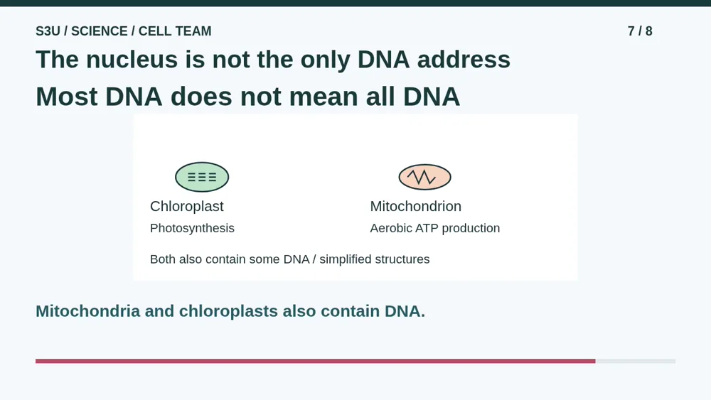 Video illustration: The nucleus is not the only DNA address. The spoken explanation follows.