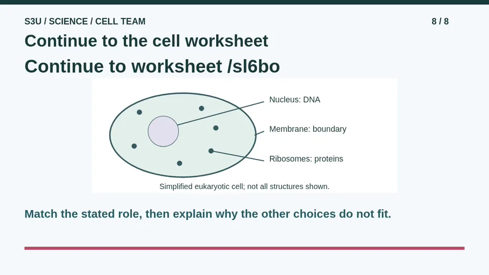 Video illustration: Continue to the cell worksheet. The spoken explanation follows.