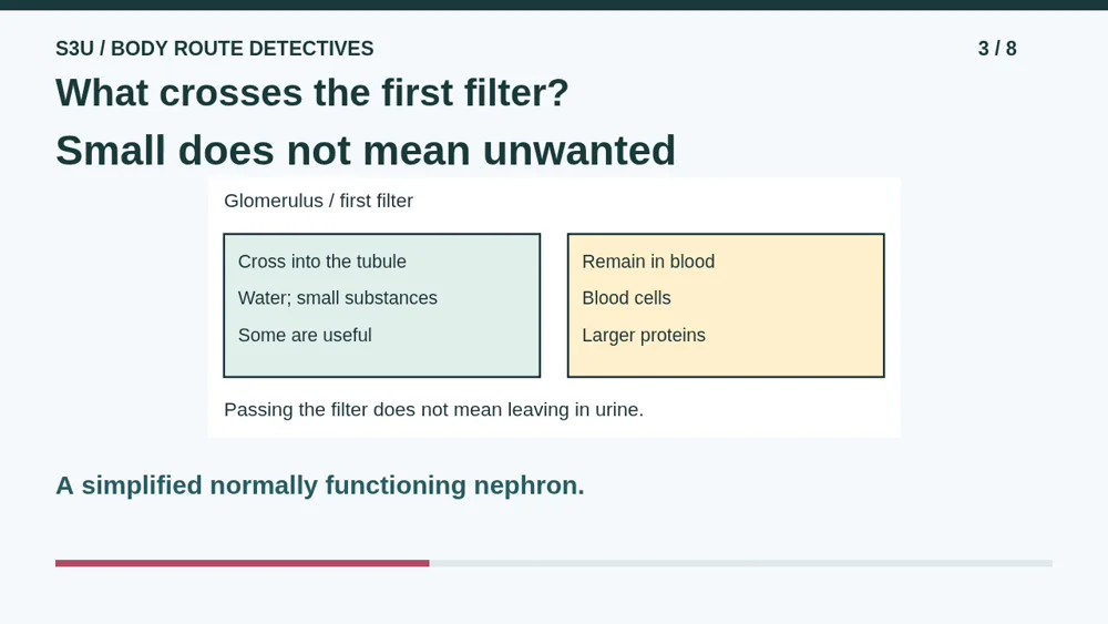 Video illustration: What crosses the first filter?. The spoken explanation follows.