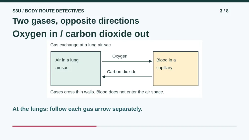 Video illustration: Two gases, opposite directions. The spoken explanation follows.