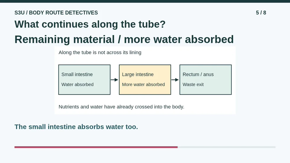 Video illustration: What continues along the tube?. The spoken explanation follows.