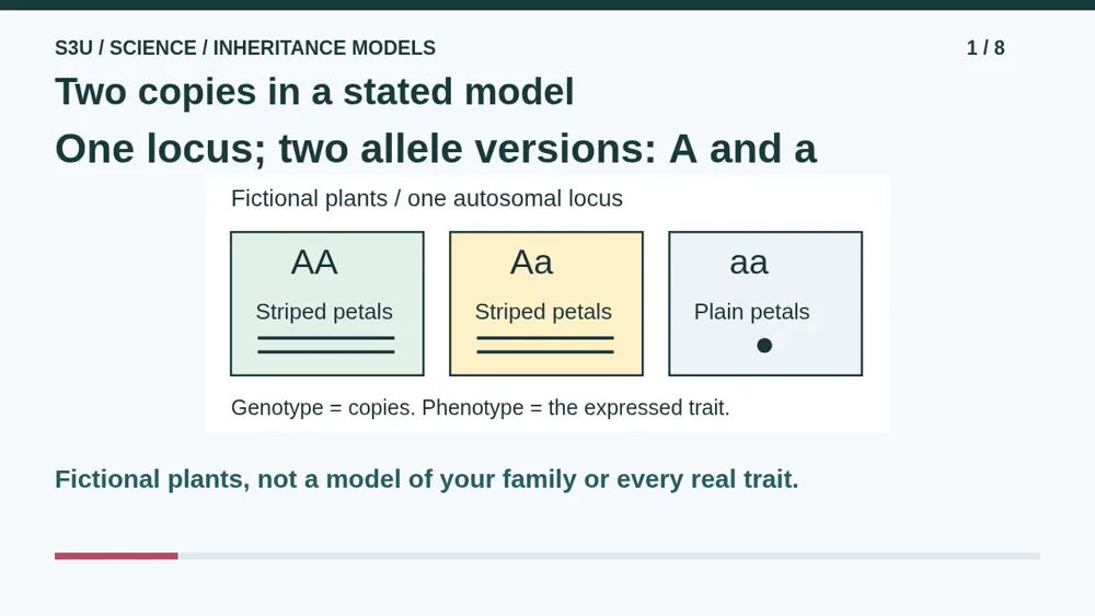 Video illustration: Two copies in a stated model. The spoken explanation follows.