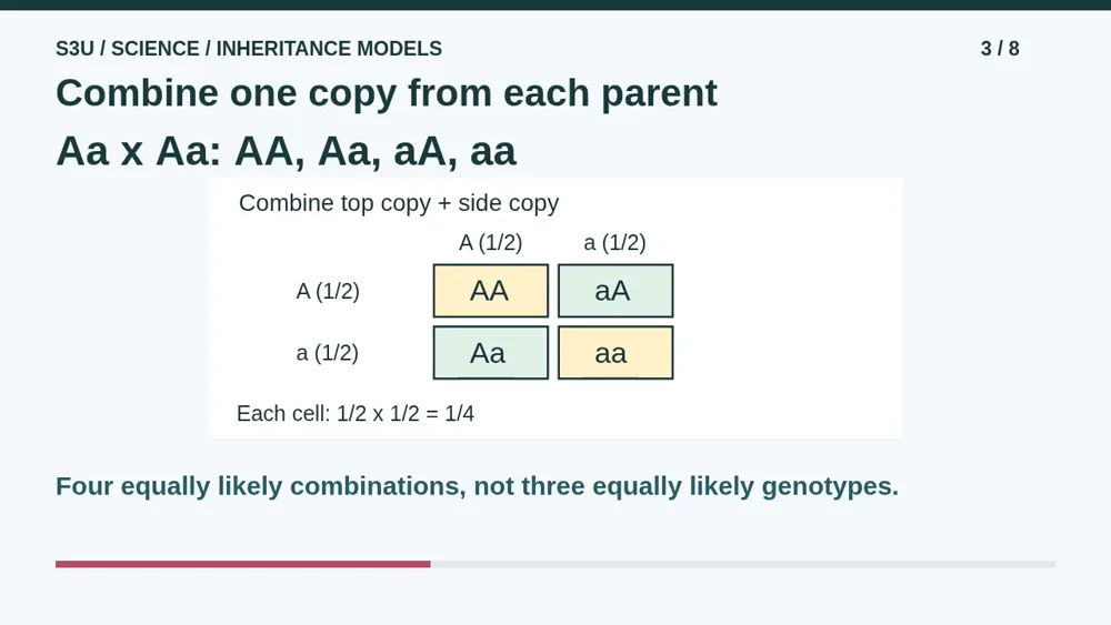 Video illustration: Combine one copy from each parent. The spoken explanation follows.