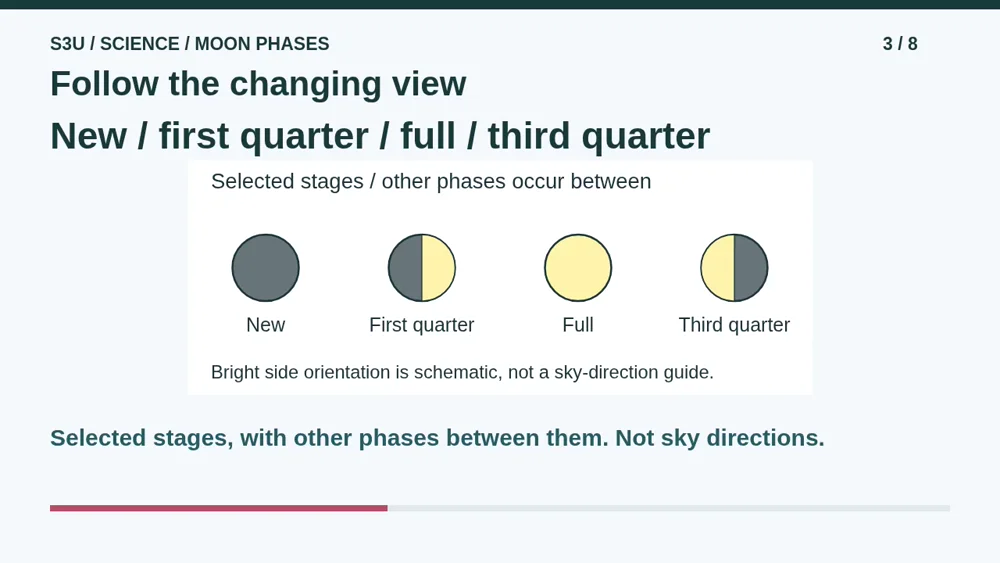 Video illustration: Follow the changing view. The spoken explanation follows.