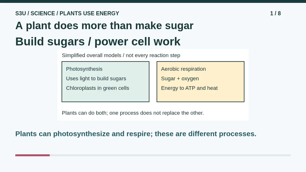 Video illustration: A plant does more than make sugar. The spoken explanation follows.