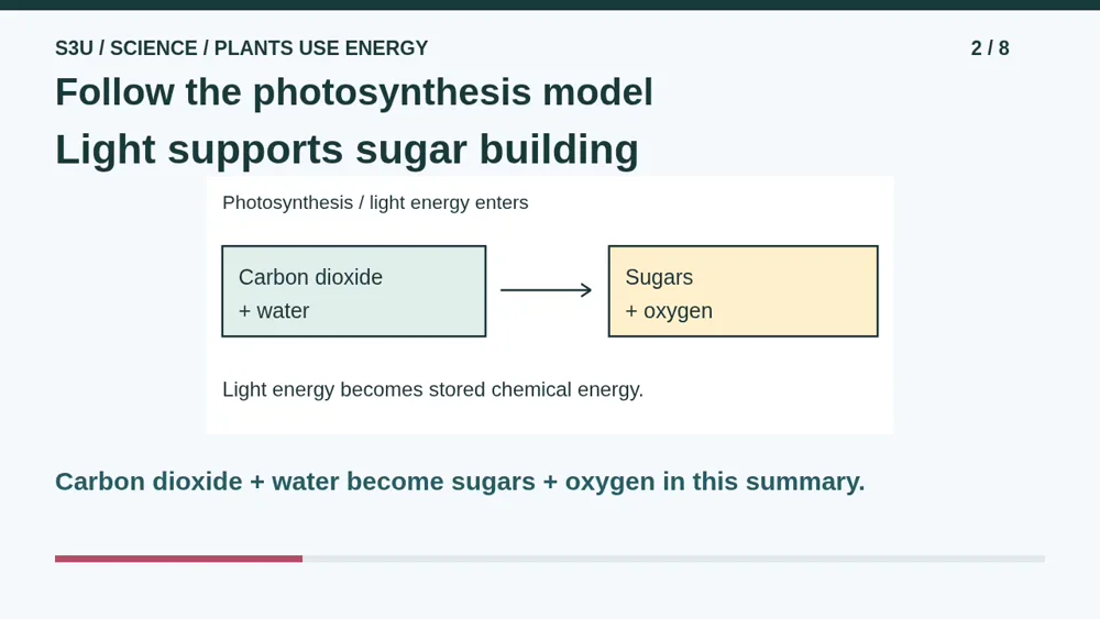Video illustration: Follow the photosynthesis model. The spoken explanation follows.