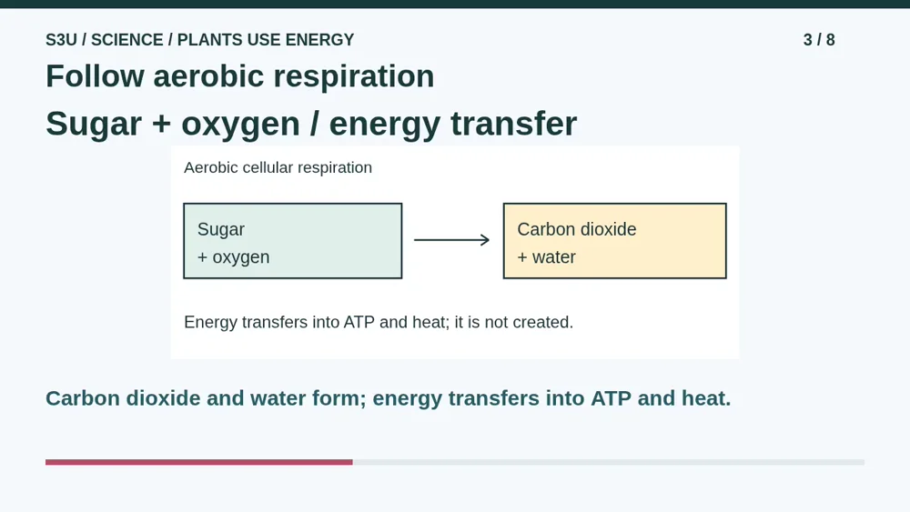 Video illustration: Follow aerobic respiration. The spoken explanation follows.