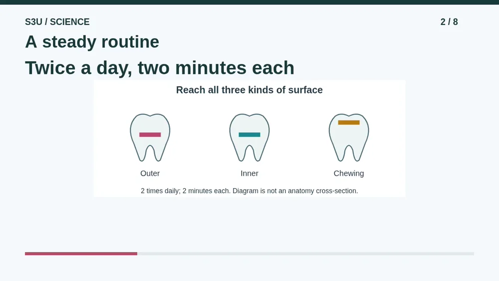 Video illustration: A steady routine. The spoken explanation follows.