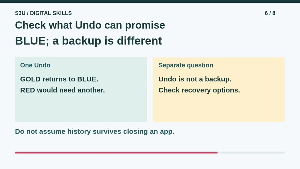 Video illustration: Check what Undo can promise. The spoken explanation follows.